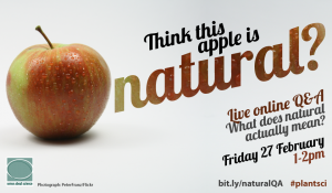 Natural_apple