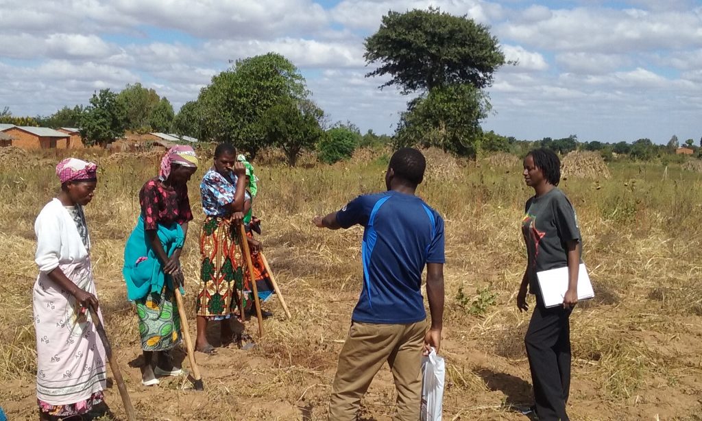 Deco and Zewdy provide instruction for testing the newly designed and cast 3D4AGDEV clearing tools.