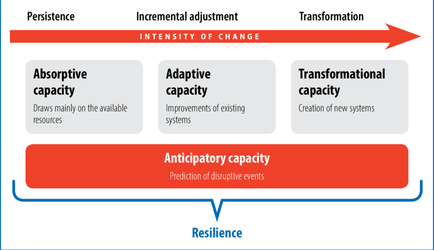 Along the continuum of vulnerability to resilience