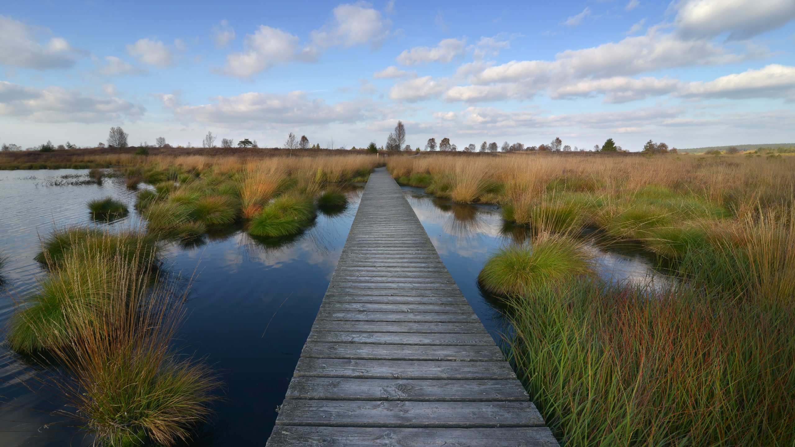 Prioritising Peatlands