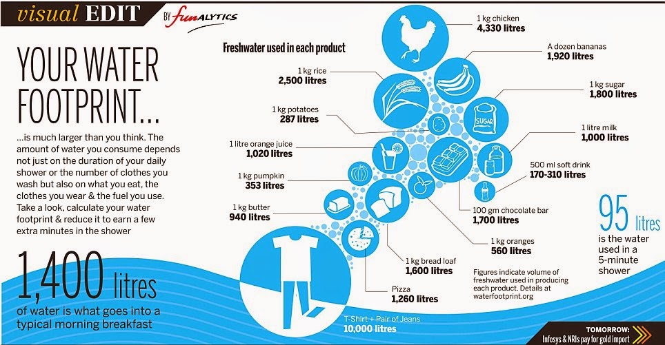 Why Water Footprints?