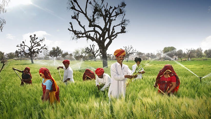 Barley Production in India – Smallholder Collectives and Capacity Building