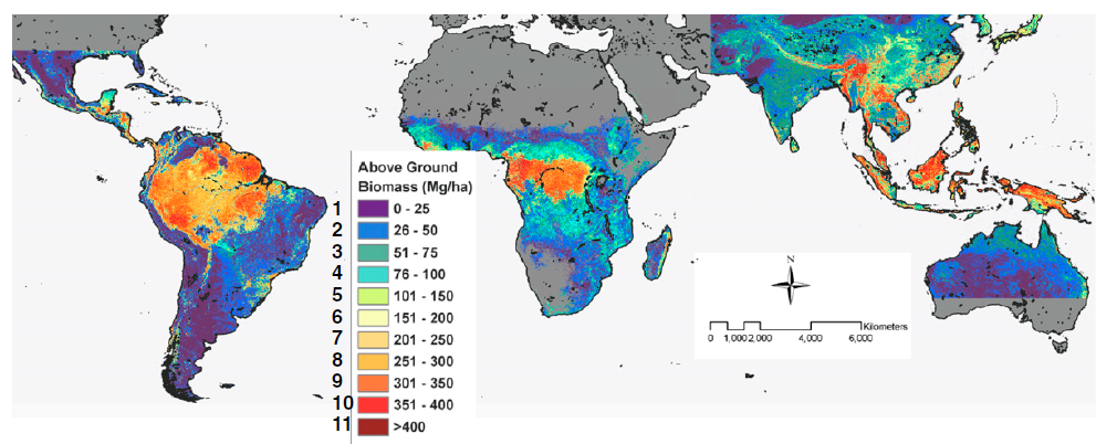 Estimating aboveground carbon stock in forests: Remote sensing