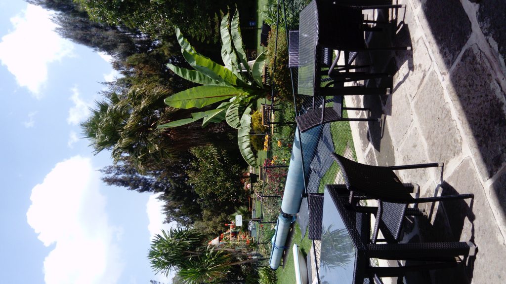 Hello Addis