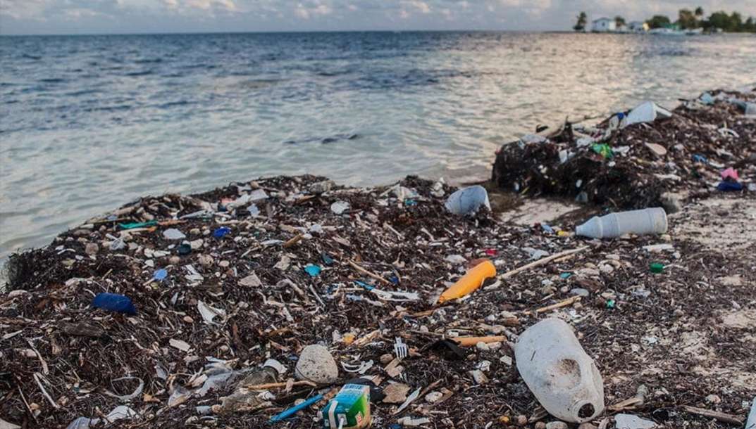 Ocean pollution: negative impacts on human health