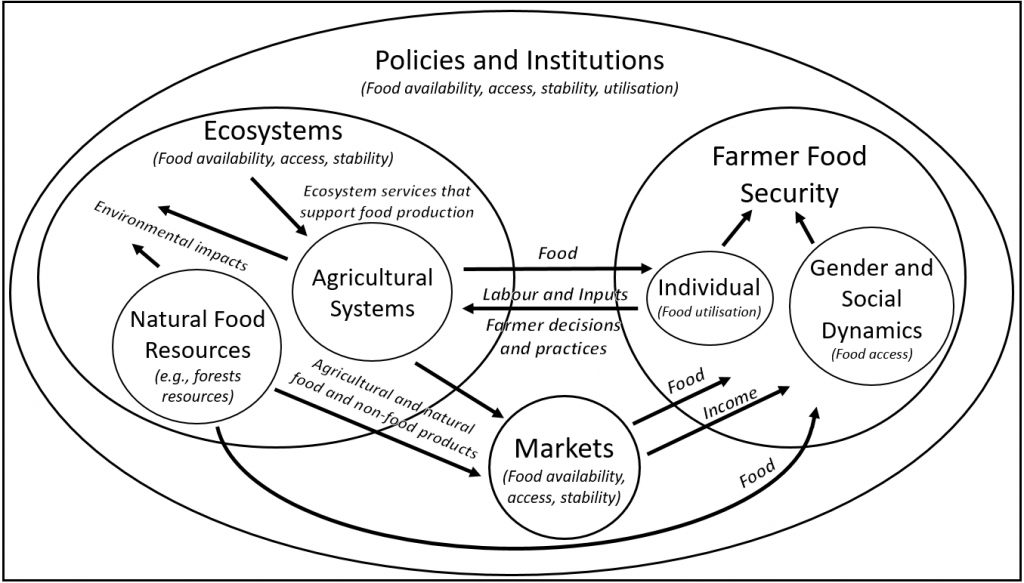 So…Does Agroforestry Contribute to Food Security? Robert O'Hagan