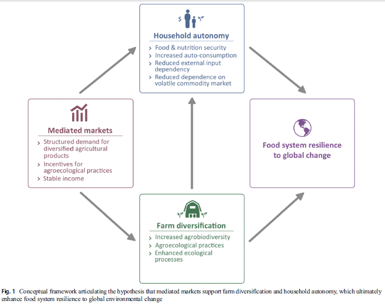 A Framework for Local School Meals
