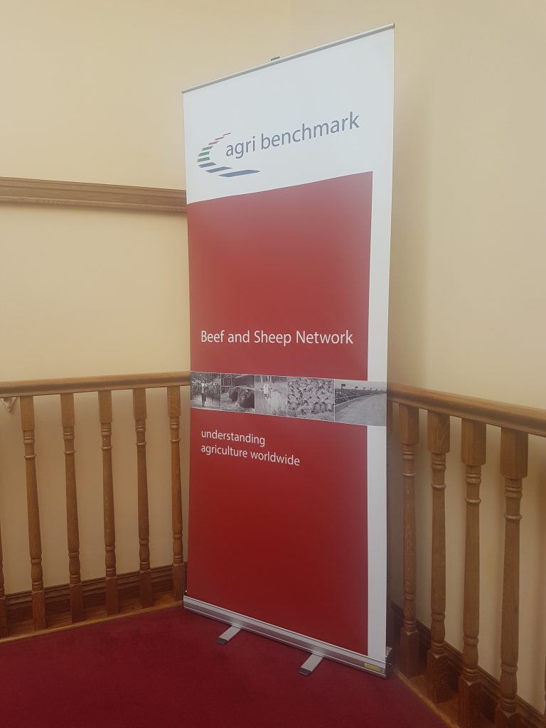 Agri benchmark Beef and Sheep Network 2018